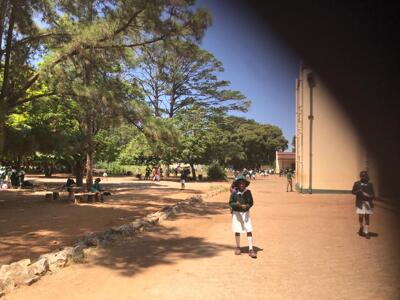 A View from the Window