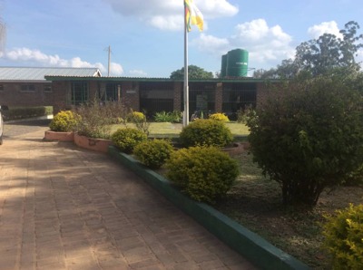 A View from the Window