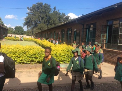 A View from the Window