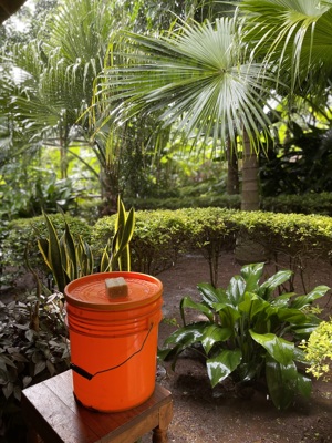 A visit to Mdawi Primary School