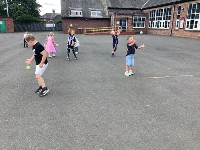 All Stars Cricket