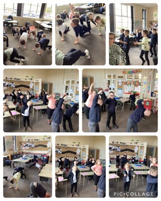 Getting Fit, Strong and Healthy in Science!